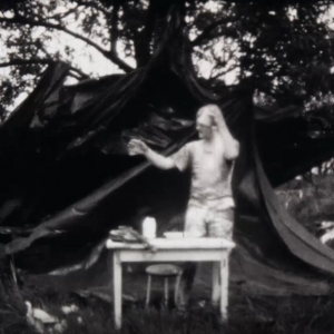 frans zwartjes film filmII