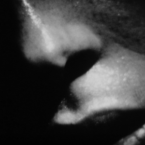 frans zwartjes film spectator